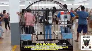 Bicudo Van Bommel campeão nacional cobrap 2019