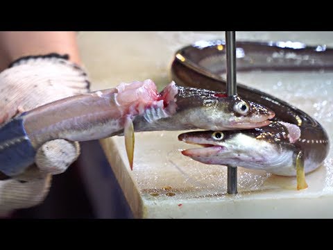 Koreanska fiskmarknaden - skärande ål