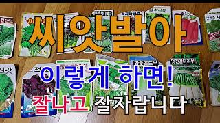 씨앗발아 이렇게 하면 잘 나고 잘자랍니다. 주말농장, 도시텃밭, 옥상농장