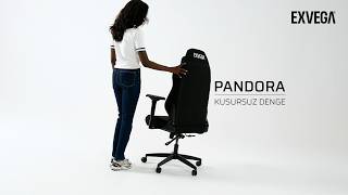 EXVEGA Pandora Oyuncu Koltuğu | Kullanım Rehberi