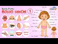Parts Of The Body In Sinhala English Sirure Kotas
