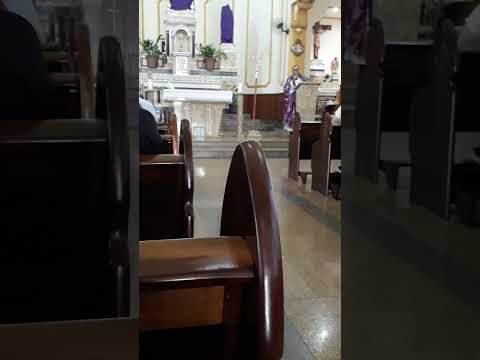 SERMÃO DA SANTA MISSA CELEBRANTE PADRE  QUALIA IGREJA MATRIZ DE CAMBARÁ PARANÁ.