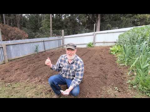 download lagu mp3 mp4 Growing Watermelon In Tasmania, download lagu Growing Watermelon In Tasmania gratis, unduh video klip Growing Watermelon In Tasmania