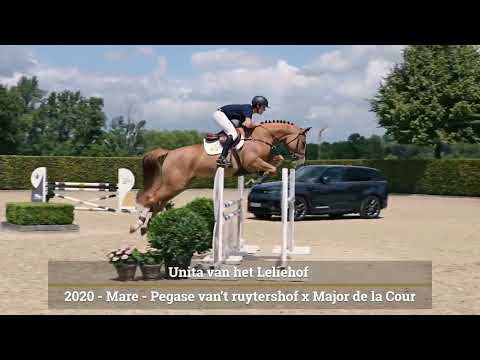 Unita van het Leliehof