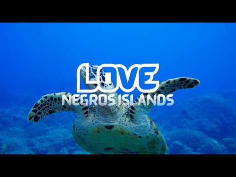 LOVE NEGROS ISLAND