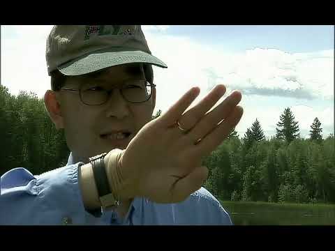 Brian Chan's Fly Fishing Tutorial - Chironomid Without Indicator
