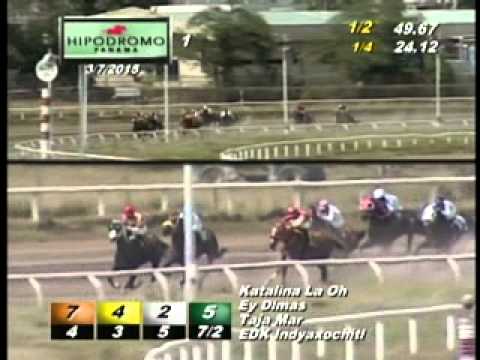 1RA CARRERA SABADO 7 DE MARZO 2015 HPR