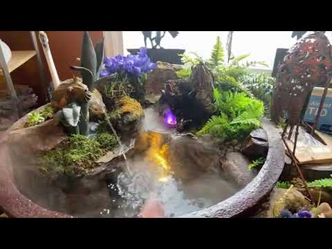 We Need YOUR HELP! https://youtu.be/jhFdYzmPIjk