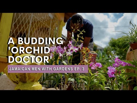 Meet the youngest orchid grower in Jamaica | Jamaican Men With Gardens Ep. 3