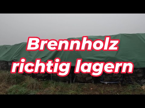 Storing firewood correctly: Cover or not? A test