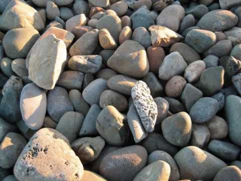 Meas Samoun - The Engagement