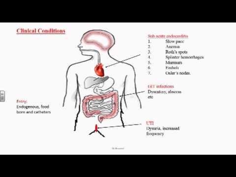 Prostatite e sangue nelle urine Prostatite e sangue nelle urine