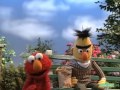 Sesame Street Elmo Scares Bert S Pigeons Away