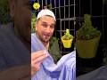Noorbhai SUBCRIBE Hyderabad Ramadan Sehri Ramadanmubarak Noorbhai Hyderabadi Taffu Viral Short