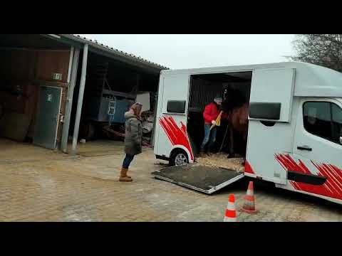 Verladen auf den Transporter