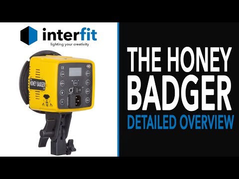 Interfit Photographic Honey Badger 320 Video #1