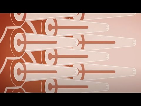 Free Download LUXE v1.0.0 WiN MAC-R2R