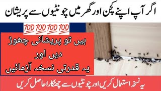 HouseHoldCrafts | How to Get Rid of Ants in your House And Kitchen | Chuntion Ko Bhagane Ka Totka