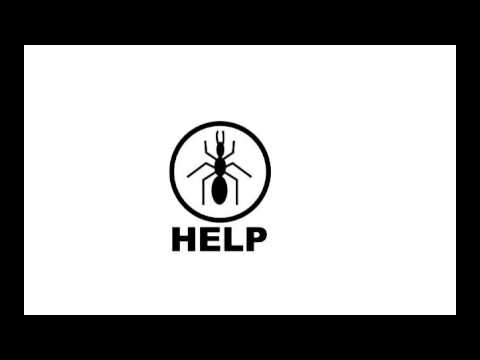 Raton de Peluche - Hormigas En La Pared (HELP)