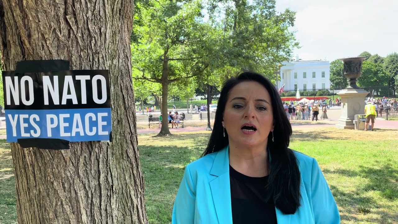 نیٹو کی مخالفت پر جرمن پارلیمنٹ کے رکن سیوِم ڈگڈیلن