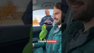 Parrot vs  Police Officer