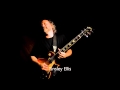 Tinsley Ellis - Hard Work - HD 