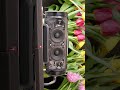 JBL Xtreme 1 Vs Xtreme 2
