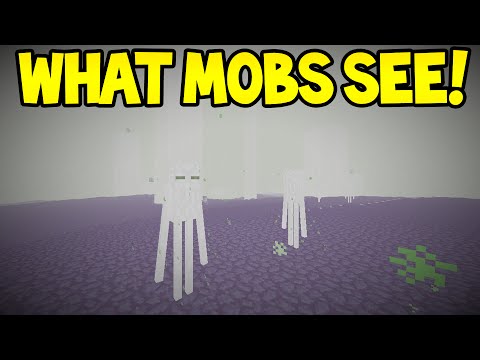 Minecraft Features - WHAT DO MOBS SEE!