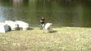 Early Sidekick Years Featuring Henry