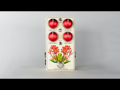 Red Witch Cynosium Modulated Delay 2025 - Cream and Red image 5