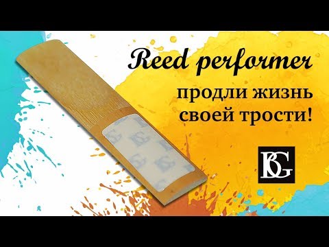 BG A80S Reed Performer iMuso