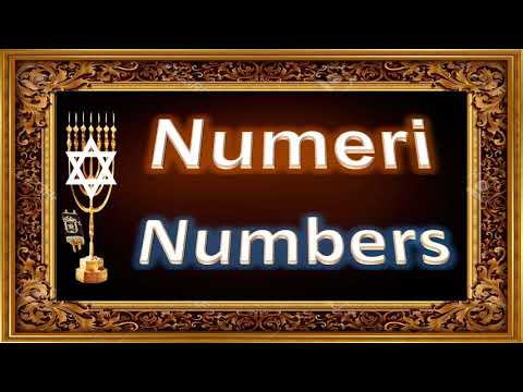 04.  Numeri   ...  Numbers  ... Zulu