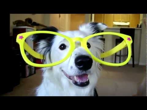 Daily Planet 11/13/12