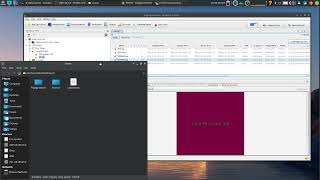 Autopsy and CSI Linux
