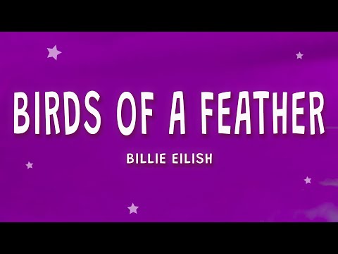 Billie Eilish - BIRDS OF A FEATHER (Lyrics)