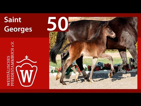 50 Saint Georges HF v. Sandro Hit - Florestan I