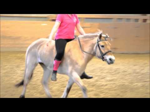 I wan't you to stay.