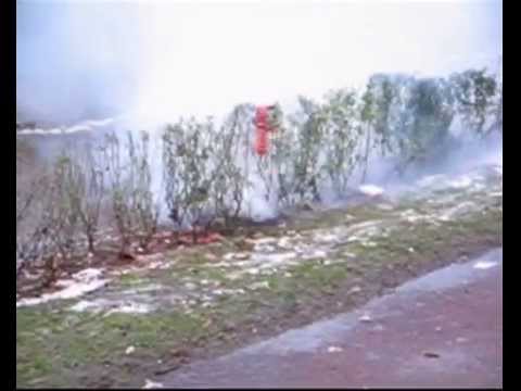 cabitschieten Zwolle (WESTENHOLTE)