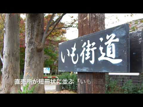 三芳町　歴史と味豊かな「サツマイモ」でほっこり