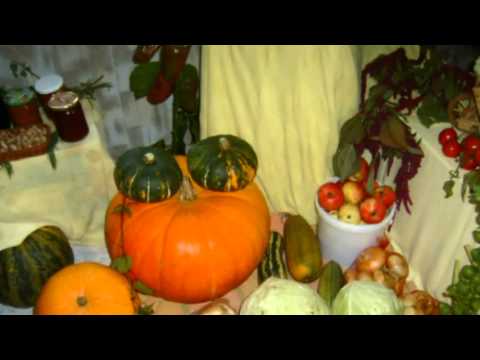 Armin's and Inara's Garden