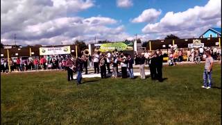 Fanfara de la Valea Mare - Balci la Vaslui 2015