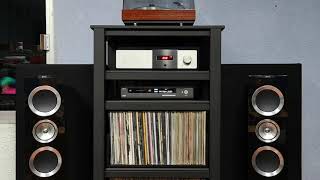 September in Montreal by Anne Bisson