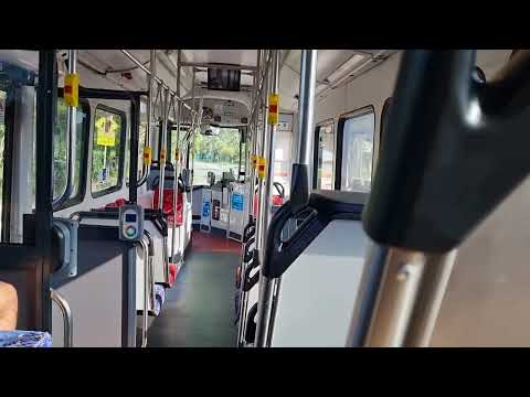 Ryde gassy 1822 merc o500