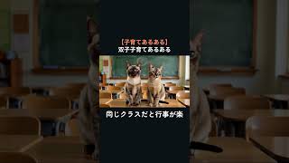 【子育てあるある】双子子育てあるある　二倍カオスで二倍かわいい猫