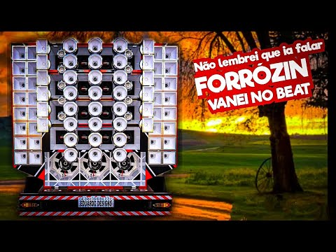 FORRÓZIN / NÃO LEMBREI QUE IA FALAR/ VANEI NO BEAT/ ATUALIZADO JULHO 2024 / RJ CDs - NORTE GRAVES