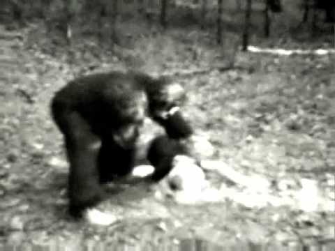 A Song for Sasquatch (For the Love of Greta Garbo) - Daniel Ouellette and the Shobijin