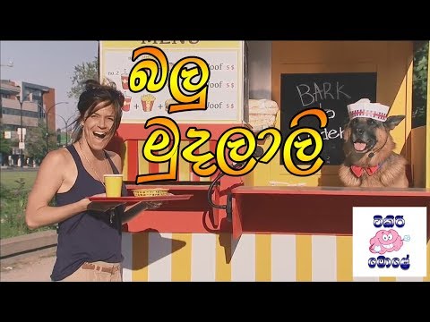 බලු මුදලාලි - dog prank sri lanka  - Tikiri Mole