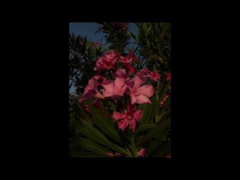 Bader azem - Ra7...Tkhattayna | بدر عازم - راح... تخطينا