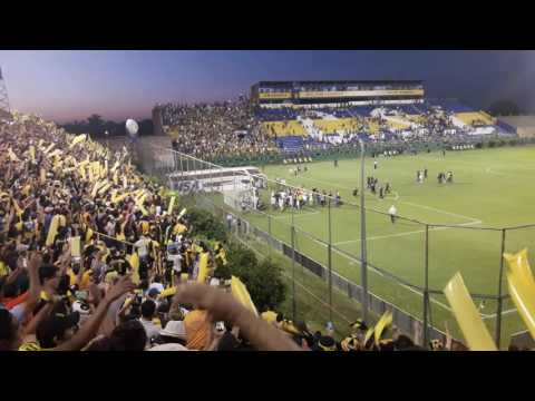 "LA RAZA AURINEGRA - Dale Campeóooon Dale Campeón [HD]" Barra: La Raza Aurinegra &bull; Club: Guaraní de Asunción