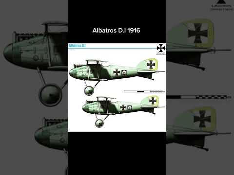 Albatros D.I 1916